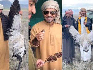 ŞOK İDDİA: Ərəblər Azərbaycanda nadir quş növlərini tələf edirlər – FOTO