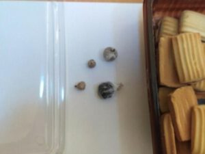 Azərbaycanda şorun içindən çıxanlar hər kəsi heyrətləndirdi