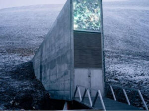 Norveçin Svalbard adalarındakı “Qiyamət anbarı” – Planeti aclıq gözləyir, o anbarda isə…