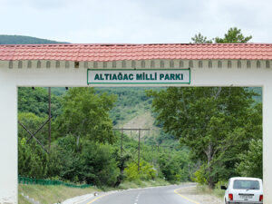 Milli Parkın direktoruna və müavininə cinayət işi açıldı