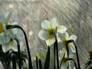 Hava kəskin dəyişəcək – XƏBƏRDARLIQ