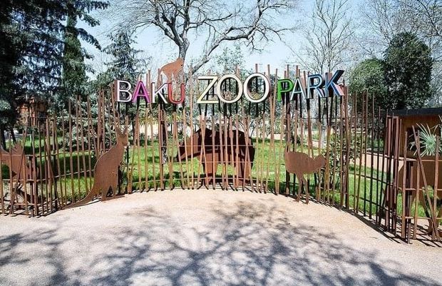 Bakı zooparkı yeni görkəmdə – FOTO Bakı zooparkı yeni görkəmdə – FOTO