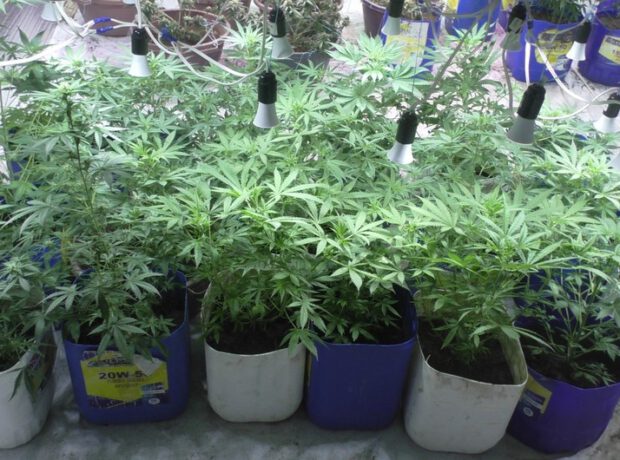 Balakəndə narkotik vasitələrin emal edildiyi laboratoriya aşkarlanıb – FOTOLAR Balakəndə narkotik vasitələrin emal edildiyi laboratoriya aşkarlanıb – FOTOLAR