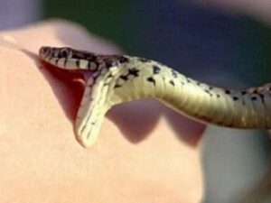 ANAMA-nın əməkdaşını ilan sancdı