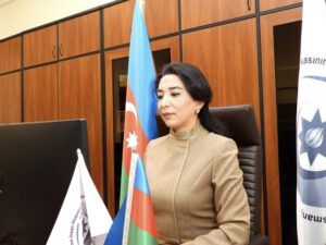 Ombudsman Ermənistanın təxribatı ilə bağlı bəyanat yayıb