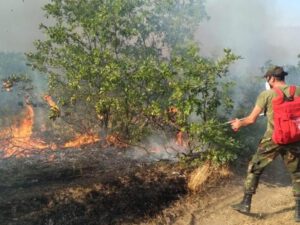 FHN bu gün baş vermiş yanğınlarla bağlı MƏLUMAT YAYDI – FOTO/VİDEO