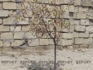 Pirşağı sakinləri susuzluqdan şikayət edirlər – FOTO