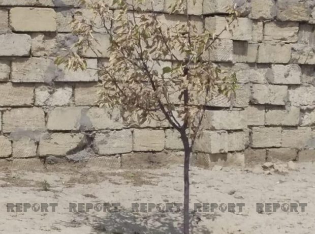 Pirşağı sakinləri susuzluqdan şikayət edirlər – FOTO Pirşağı sakinləri susuzluqdan şikayət edirlər – FOTO