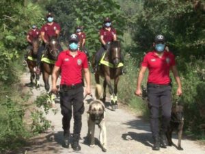 Türk polisi HƏRƏKƏTƏ KEÇDİ: meşələrə bu yolla nəzarət ediləcək