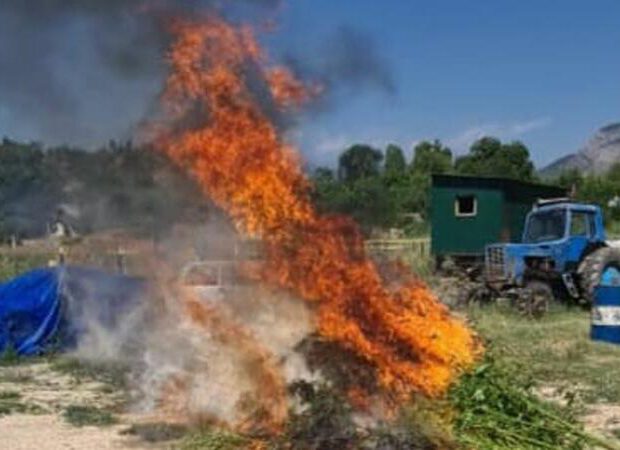 Polis Zəngilanda əməliyyat keçirdi Polis Zəngilanda əməliyyat keçirdi