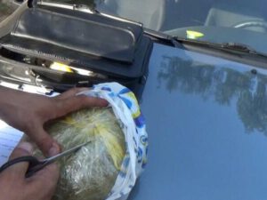 Polis 5 rayonda əməliyyat keçirdi: HƏBS OLUNANLAR VAR – VİDEO