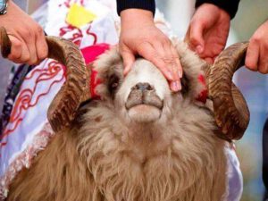 Səhiyyə Nazirliyi Qurban bayramı ilə əlaqədar əhaliyə MÜRACİƏT ETDİ