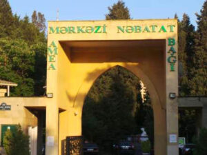 Mərkəzi Nəbatat Bağında dövlət vəsaiti mənimsənilib?