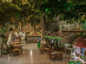 AAAF Park Xırdalanda yerləşən “Limu Forest” restoranında heyvanlara qarşı xüsusi amansızlıq: Aidiyyatı qurumlar niyə susur?