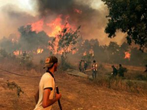 DƏHŞƏT: Tanınmış sənətçi meşə yanğınlarını törətməkdə ittiham olundu – Yandırılaraq öldürüldü / FOTO