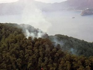Türkiyə meşələrini indi də ildırım yandırır – 3 gündə 37 yanğın