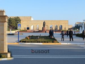 Sahibsiz küçə itləri Şirvan İH ərazisində niyə toplanır? – FOTO/VİDEO