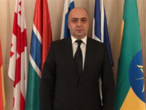 “Cənab prezidentin çıxışı çox zərgərcəsinə bir çıxış oldu” – Telman Qasımov