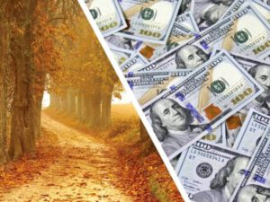 Parkda gəzərkən xırda daş tapdılar, həyatları dəyişdi – FOTO