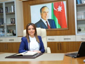 Aygün Əliyeva QHT Agentliyinin icraçı direktoru oldu