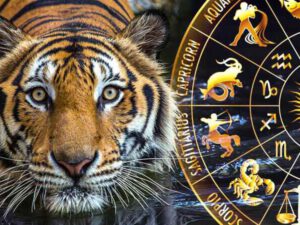 Pələng ili kimlərə uğur gətirəcək? – Məşhur astroloqdan PROQNOZ