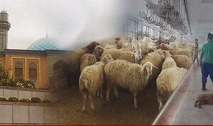 Mirmövsüm Ağa ziyarətgahını biznes obyektinə çeviriblər