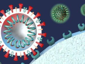 “Omikron” Azərbaycanda epidemioloji vəziyyəti dəyişəcək?