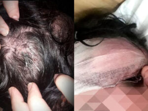 Bakıda DƏHŞƏT: Qadın qayınanası və həbsdən çıxmış əri tərəfindən amansızcasına döyüldü – FOTO