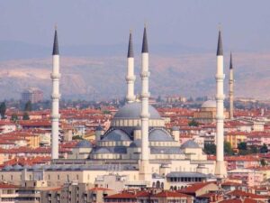 Ukrayna Türkiyəyə çağırış etdi