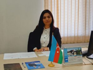 Beş ilik fəaliyyət