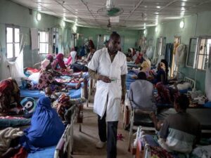 Nigeriyada Lassa qızdırması 86 nəfərin həyatına son qoyub