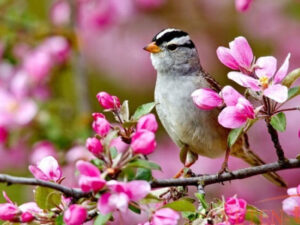 Sabahın hava PROQNOZU: Bakıda 35, rayonlarda 38 dərəcə