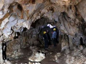 Keçisini axtararkən mağaraya girən şəxs inanılmaz mənzərə ilə üzləşdi: Əcaib varlıqların FOTOLARI