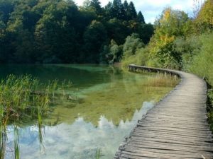 Əhalinin NƏZƏRİNƏ! – Bu gün bu yerlər PULSUZ OLACAQ