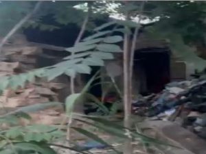 Bakıda ağacları kəsdilər, narkoman yuvası üzə çıxdı