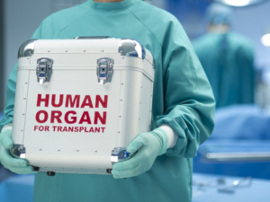 Donor orqanlarına görə cərimələr müəyyənləşdi