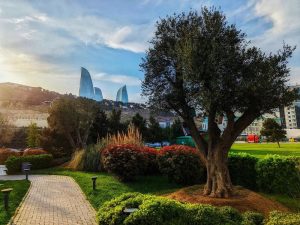 Bəzi yerlərdə 38 dərəcə isti olacaq