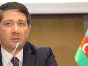 “Qazilərlə bağlı nə etsək, kifayət olmayacaq” – Nazir müavini