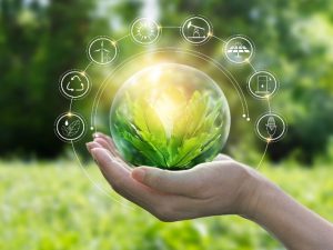 Qarabağda yaşıl texnologiyalar üzrə istehsal və xidmət sahələri yaradılacaq