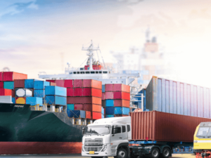 “Kənd təsərrüfatı sahəsinə çox ciddi investisiya qoyulmalıdır” – Müsahibə