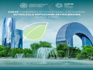 RİNN-in saytında COP 29-la bağlı xüsusi bölmə yaradılıb