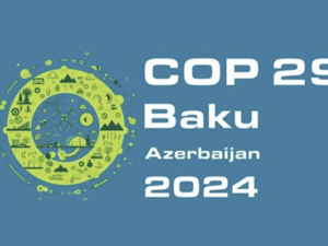 COP29-da iqlim dəyişikliyi ilə mübarizədə yeni üfüqlər