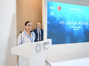 Leyla Əliyeva COP29-da panel müzakirələrində iştirak edib