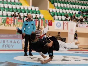 Alpaqut üzrə Dünya Çempionatı bu şəhərdə keçiriləcək – AÇIQLAMA