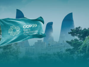 COP29 iştirakçılarının 3618 nəfəri media nümayəndəsidir