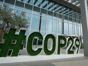 COP-29-da qəbul olunmuş qərarlar və NƏTİCƏLƏR