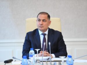 “2025-ci ilin dövlət büdcəsi artan büdcədir” – Komitə sədri