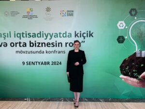 Günəbaxan istehsalında yeni mərhələ – “Agromix”dən fermerlərə unikal model