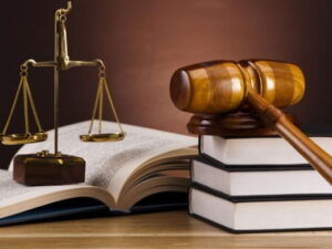 Etimad hüququnun qorunması prinsipinin inzibati icraatda tətbiqinin hüquqi əsasları